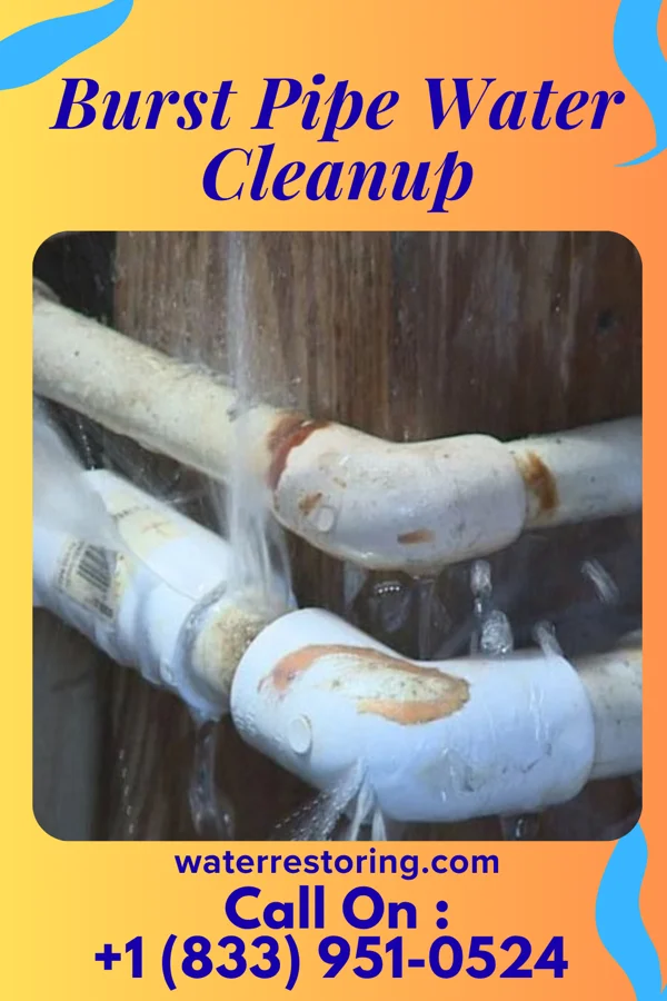 Burst Pipe Water Cleanup in Mission Bend, TX