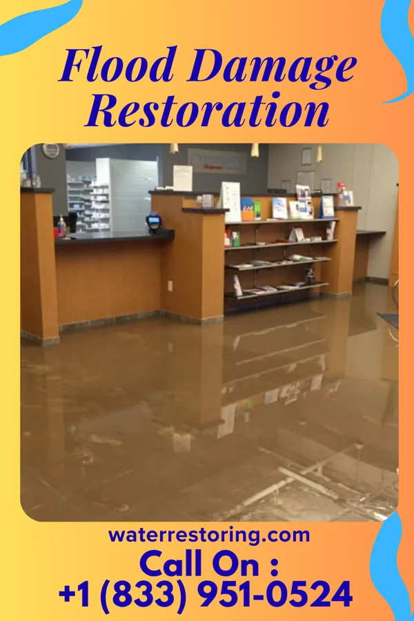 Flood Damage Restoration in Mission Bend, TX