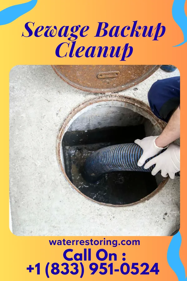 Sewage Backup Cleanup in Mission Bend, TX