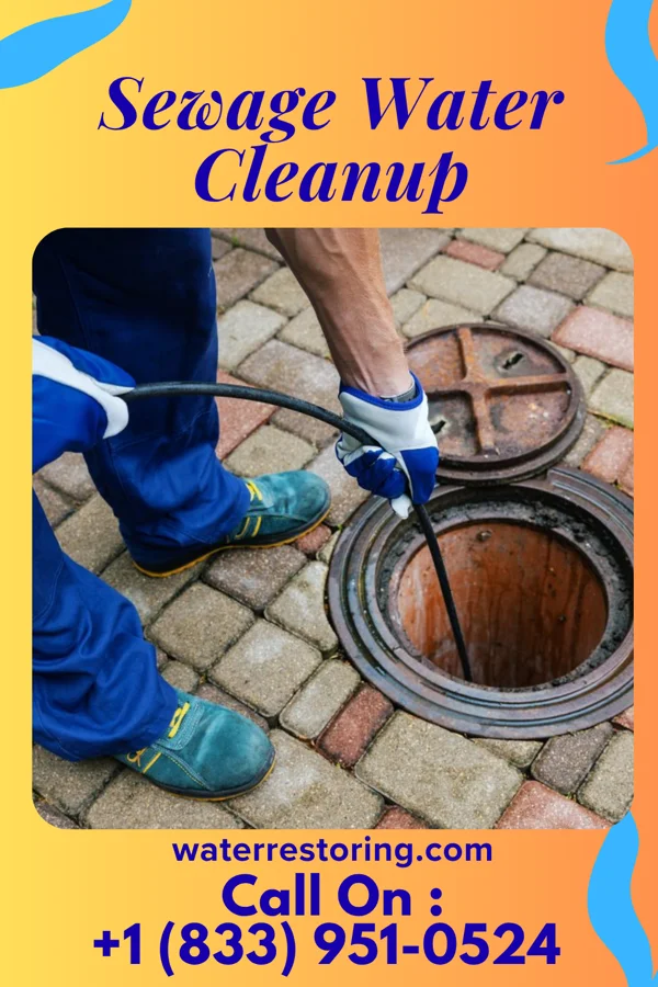 Sewage Water Cleanup in Mission Bend, TX