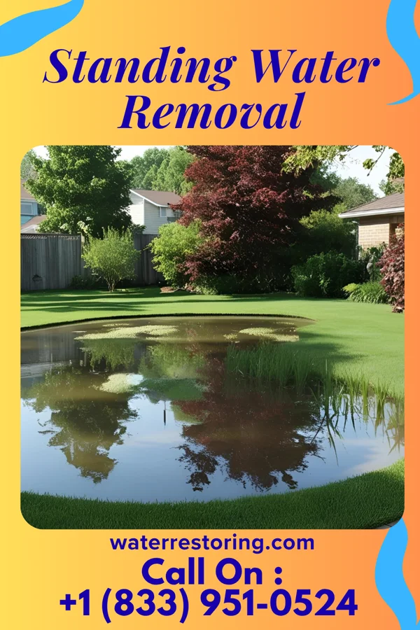 Standing Water Removal in Mission Bend, TX